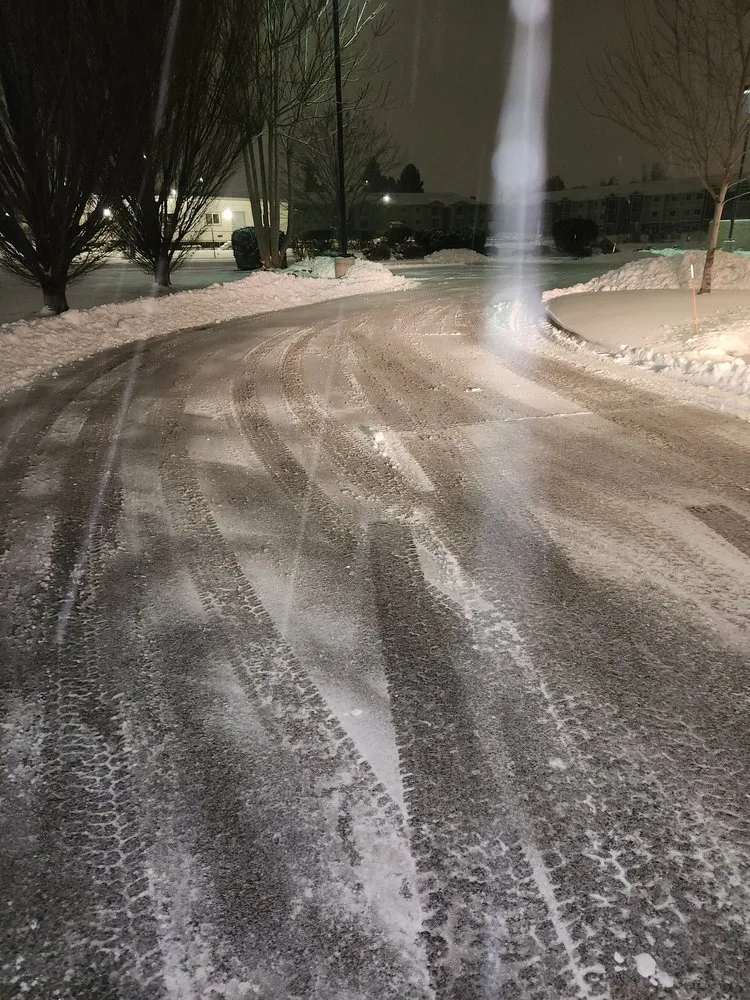 Expert landscaping services experts serving Kennewick, WA - Lion Landscaping & Maintenance