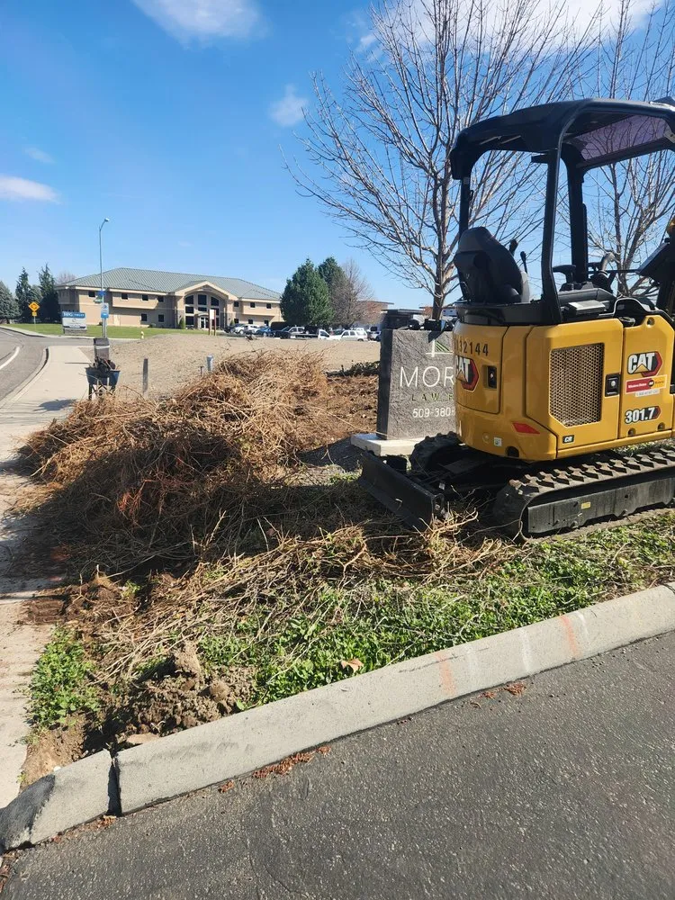 Reliable yard maintenance in Kennewick, WA - Lion Landscaping & Maintenance