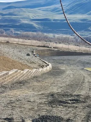 Lion Landscaping & Maintenance Logo