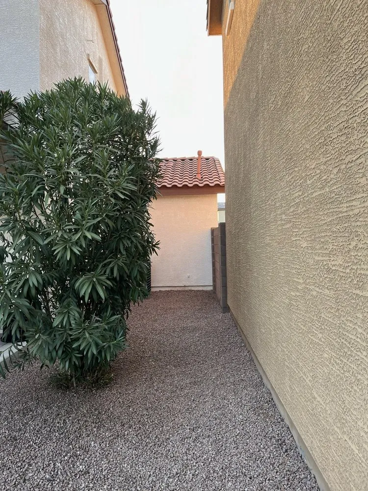 Affordable yard maintenance in Tempe, AZ by Lion Landscaping Arizona