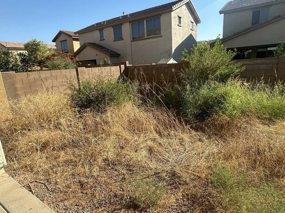 Expert outdoor landscaping for year-round maintenance in Tempe, AZ by Lion Landscaping Arizona