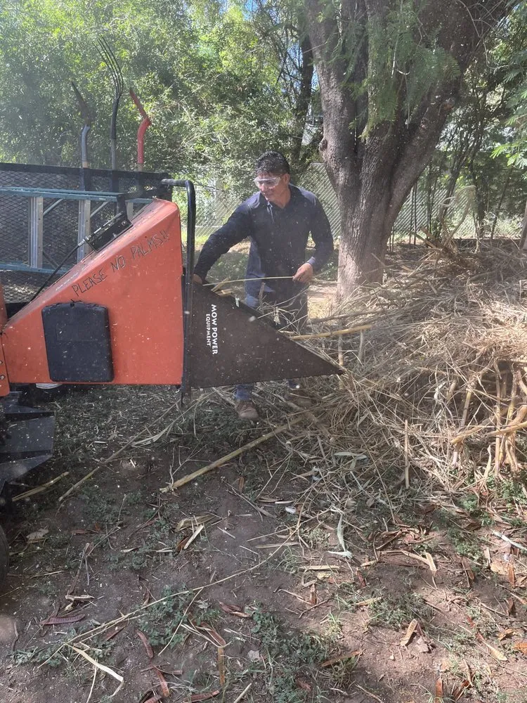 Local landscaping services in Tempe, AZ - Lion Landscaping Arizona