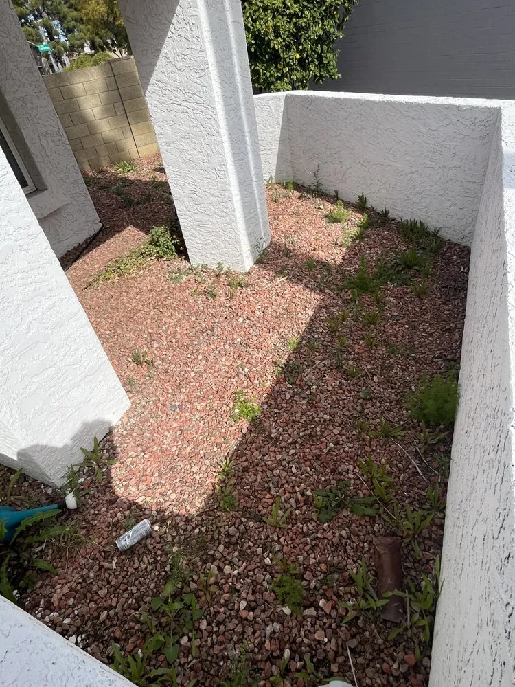 Custom landscape design in Tempe, AZ - Lion Landscaping Arizona