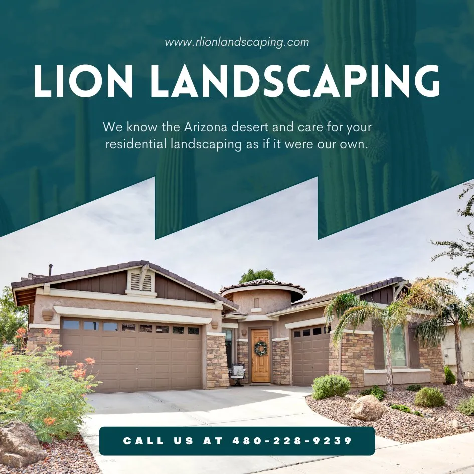 Top-rated lawn care service in Tempe, AZ - Lion Landscaping Arizona