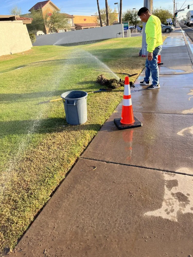 Top-rated lawn mowing service experts serving Tempe, AZ - Lion Landscaping Arizona