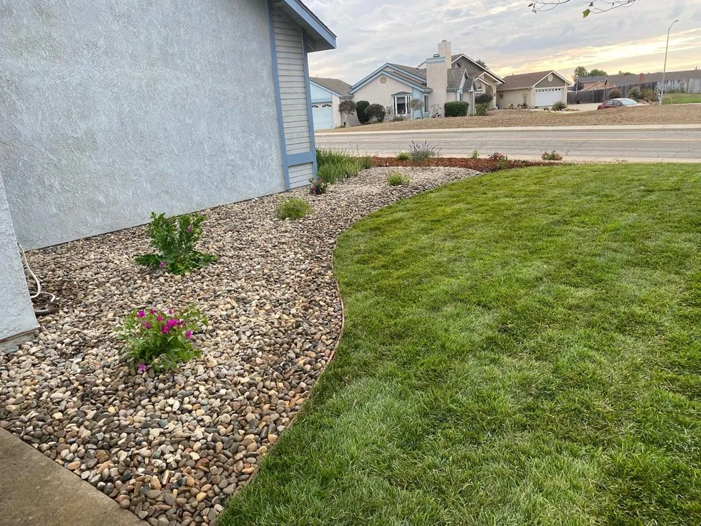 Reliable yard cleanup service experts serving Oceano, CA - Lion Landscaping