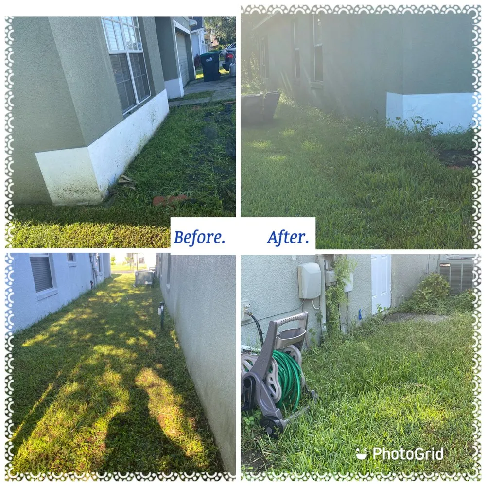 Trusted yard cleanup service for year-round maintenance across Orlando, FL - Lion Landscaping
