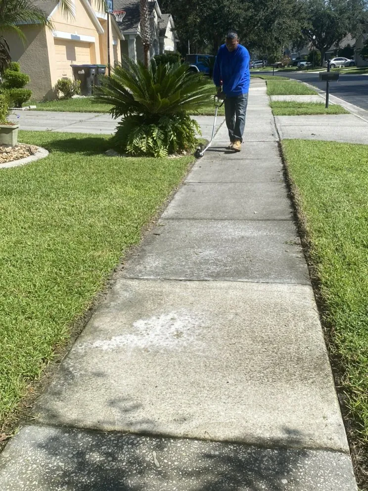 Reliable lawn mowing service in Orlando, FL - Lion Landscaping