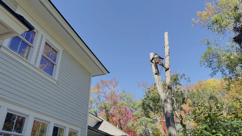 Reliable landscaping services experts serving Summerville, SC - Lion Tree Service and Landscaping