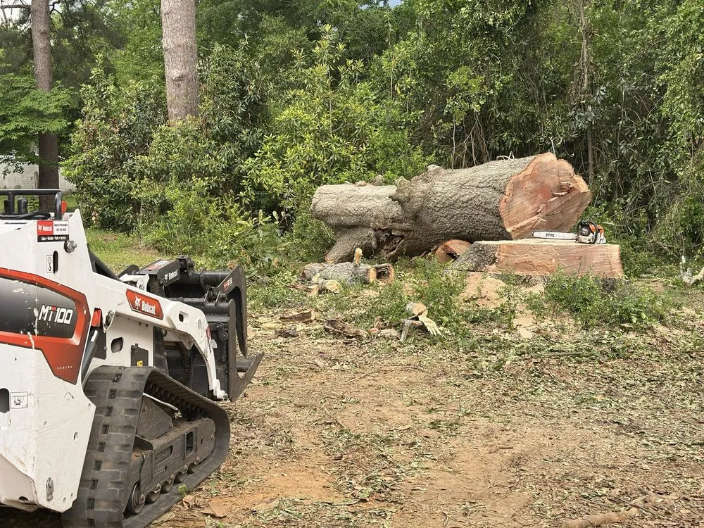 Trusted yard cleanup service in Summerville, SC by Lion Tree Service and Landscaping