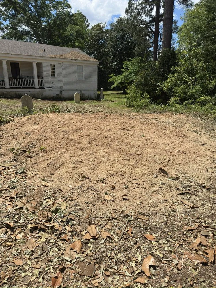 Trusted lawn care service experts serving Summerville, SC - Lion Tree Service and Landscaping