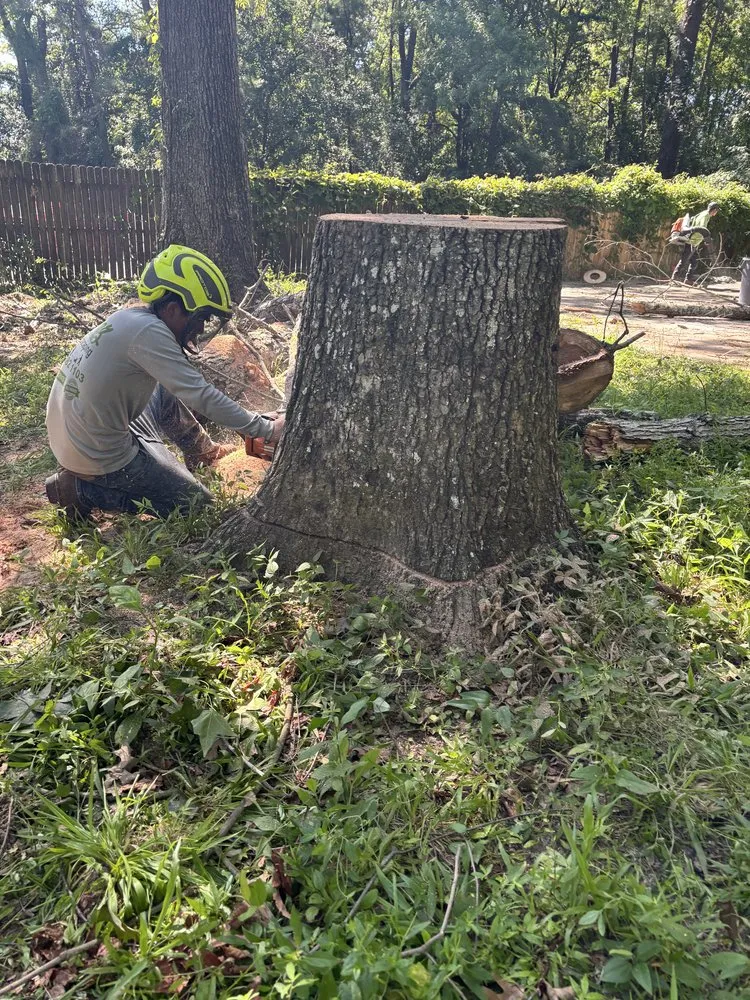 Top-rated yard cleanup service in Summerville, SC by Lion Tree Service and Landscaping