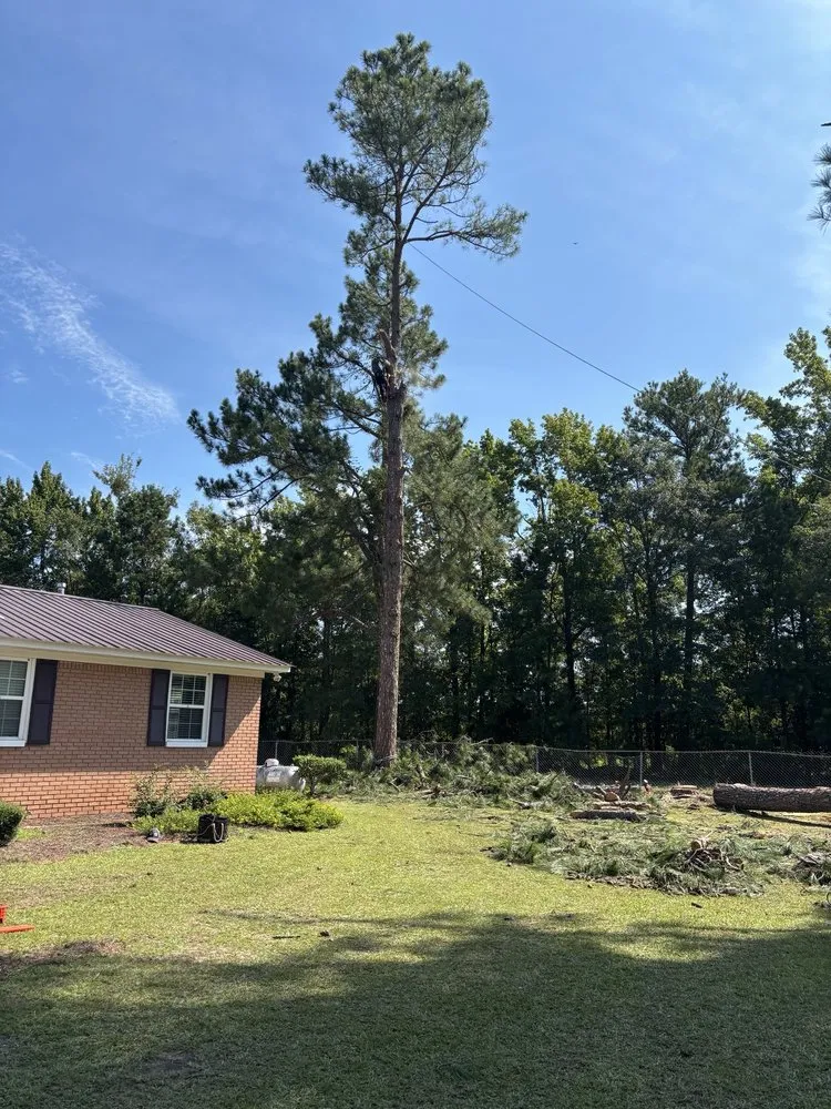 Local landscape installation for year-round maintenance in Summerville, SC by Lion Tree Service and Landscaping