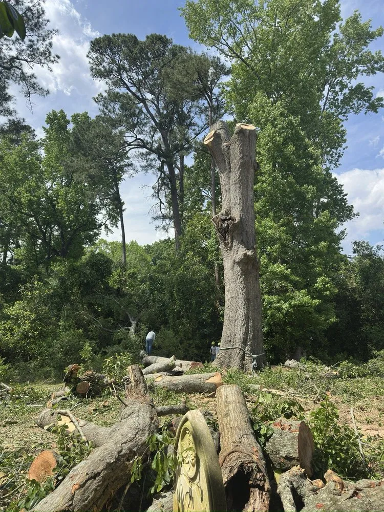 Reliable landscaping services in Summerville, SC by Lion Tree Service and Landscaping