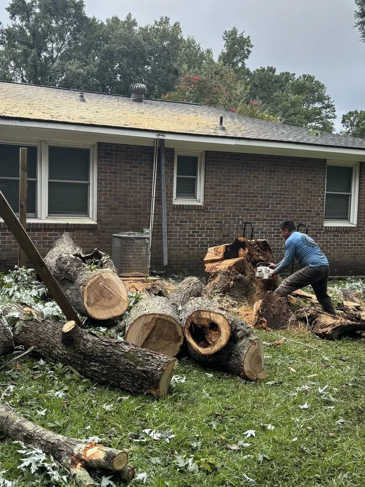 Top-rated landscaping services for outdoor upgrades in Summerville, SC by Lion Tree Service and Landscaping