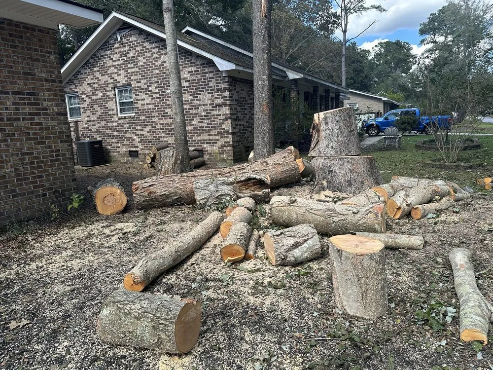 Trusted landscape design for residential properties in Summerville, SC by Lion Tree Service and Landscaping