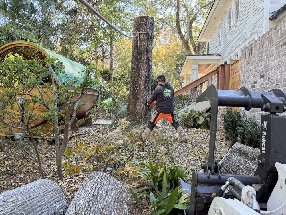 Reliable yard maintenance in Summerville, SC - Lion Tree Service and Landscaping