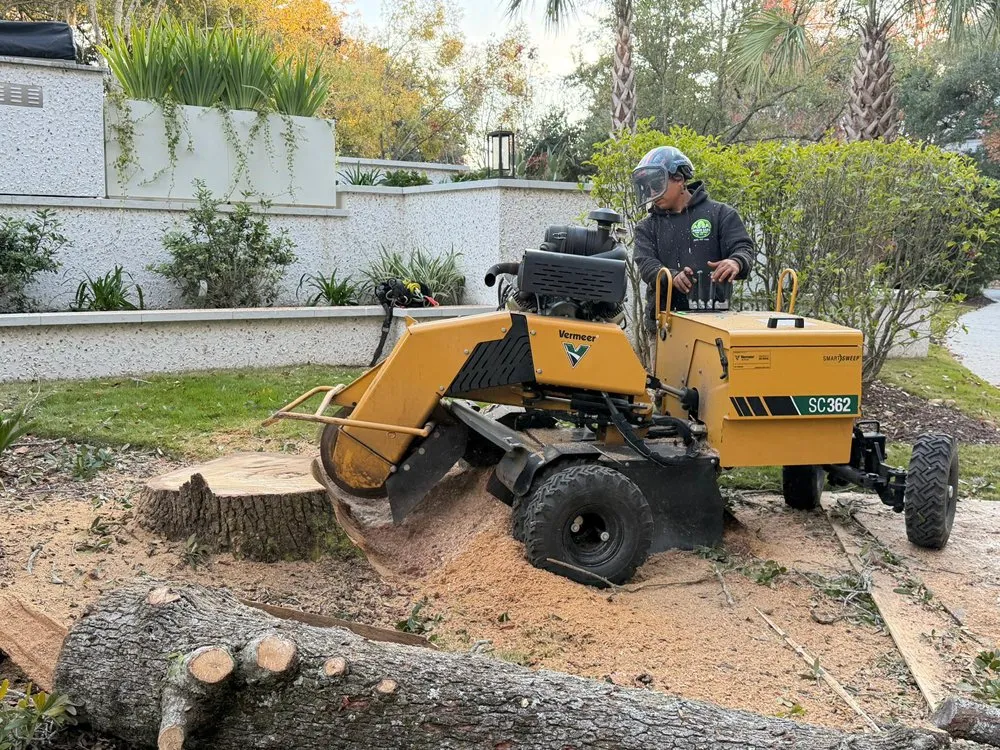 Professional landscaping services for outdoor upgrades across Summerville, SC - Lion Tree Service and Landscaping