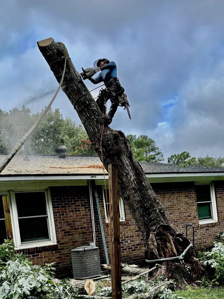 Custom garden landscaping in Summerville, SC by Lion Tree Service and Landscaping