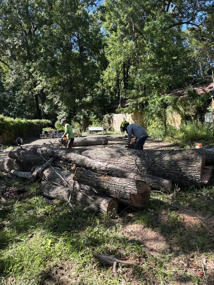 Local yard cleanup service for residential properties in Summerville, SC by Lion Tree Service and Landscaping