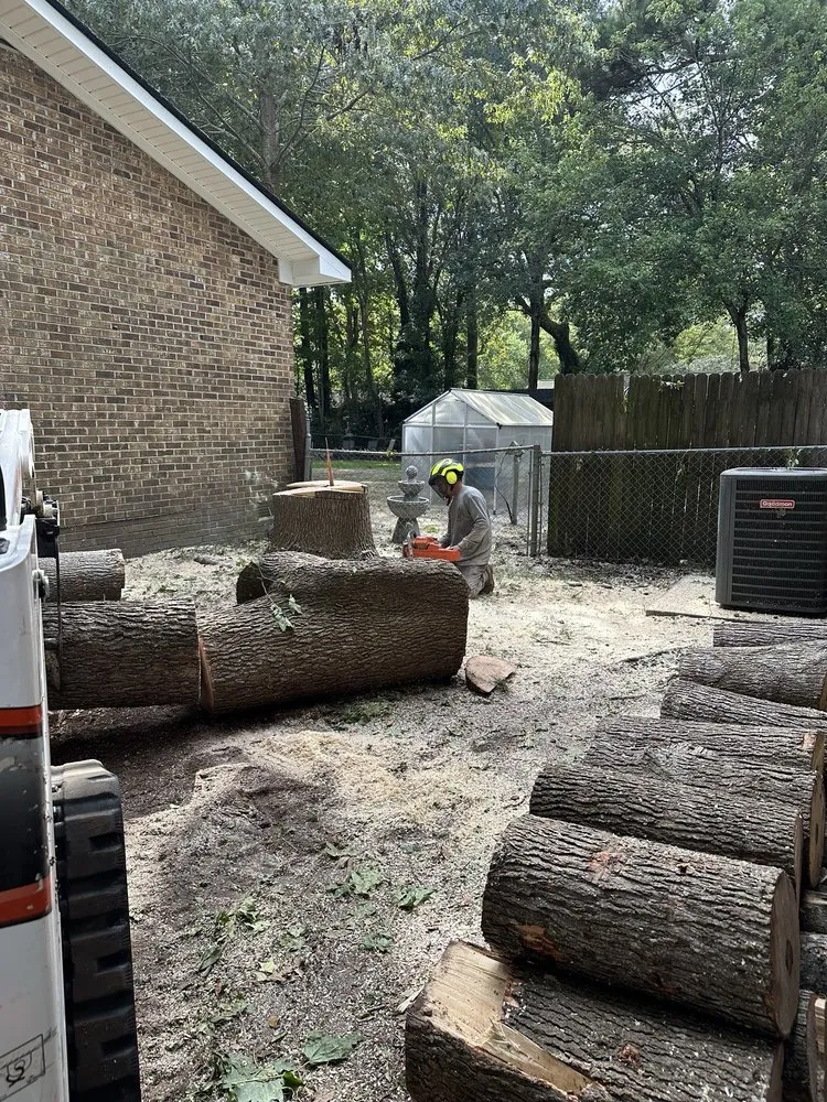 Professional lawn care service for homes in Summerville, SC by Lion Tree Service and Landscaping