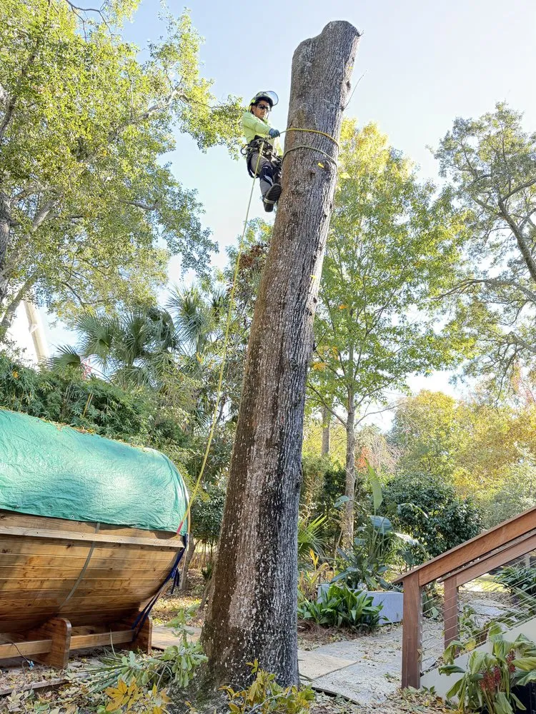 Expert lawn care service in Summerville, SC - Lion Tree Service and Landscaping