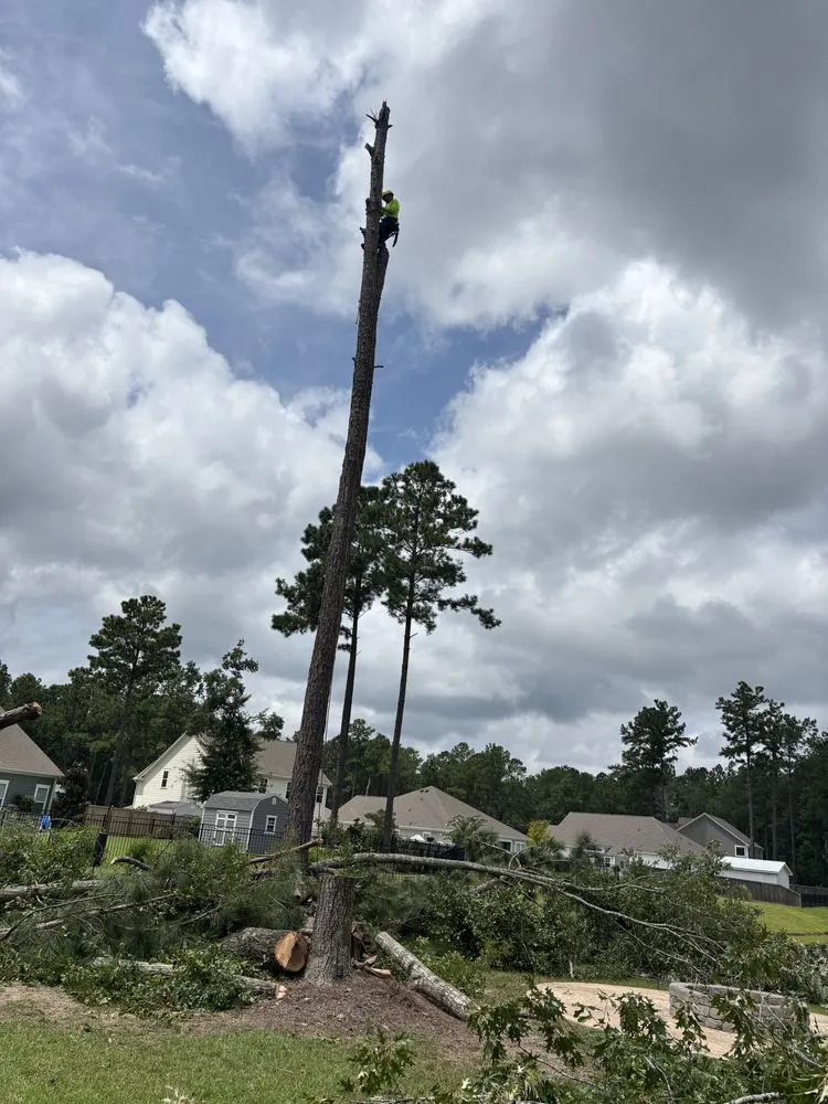Local outdoor landscaping in Summerville, SC by Lion Tree Service and Landscaping
