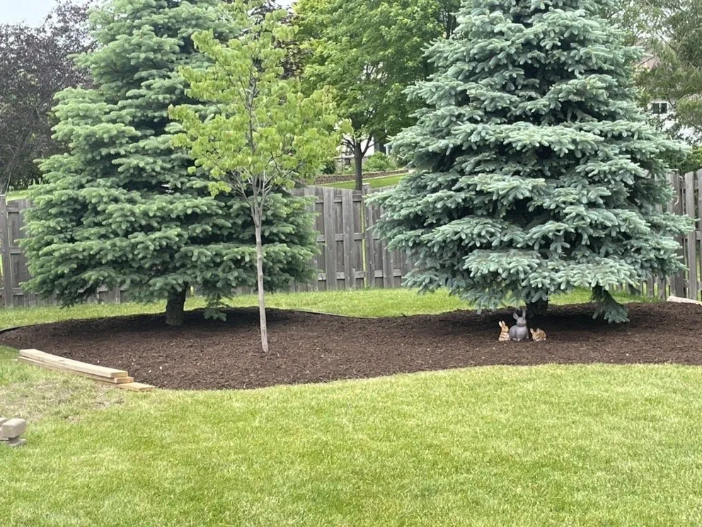 Top-rated yard maintenance in Pleasant Prairie, WI - Lionel & Aurelio Landscape