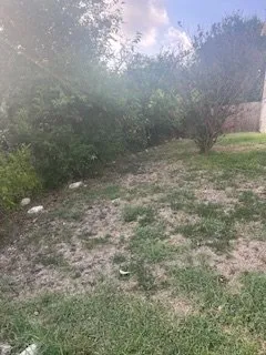 Professional landscaping services experts serving Converse, TX - Lionel & Sons