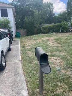 Top-rated landscaping services experts serving Converse, TX - Lionel & Sons