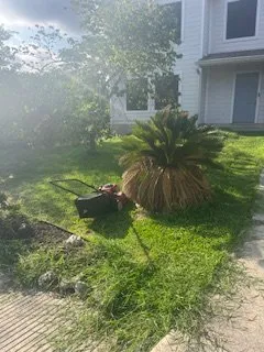 Affordable outdoor landscaping in Converse, TX by Lionel & Sons