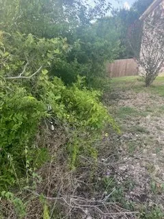 Professional landscaping services in Converse, TX by Lionel & Sons