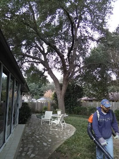 Reliable lawn care service for year-round maintenance across Austin, TX - Lionel Brothers - Austin Landscaping Specialists