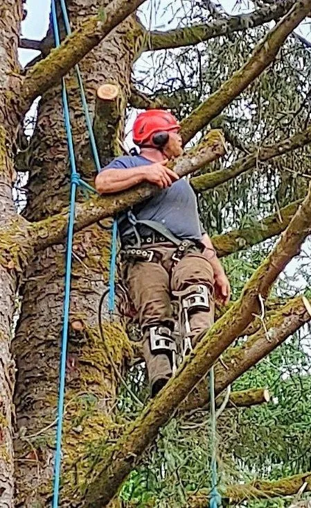 Custom garden landscaping experts serving Tokeland, WA - Lionel's Tree Care & Removal