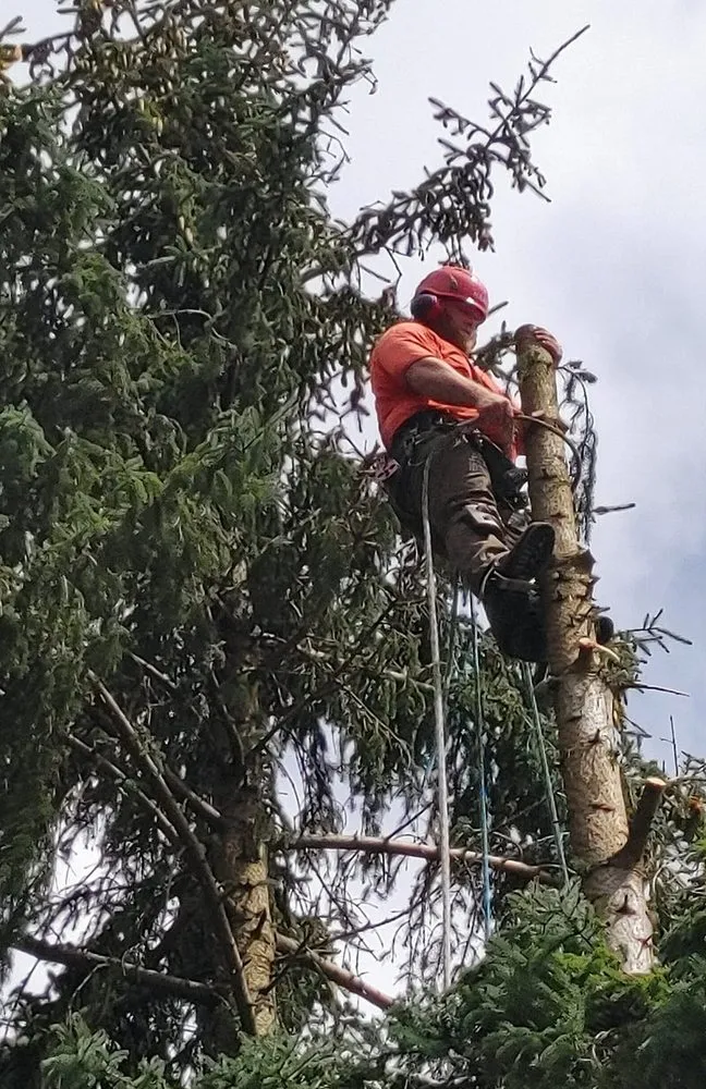 Affordable lawn mowing service in Tokeland, WA - Lionel's Tree Care & Removal