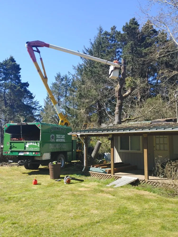 Trusted yard maintenance for year-round maintenance in Tokeland, WA by Lionel's Tree Care & Removal