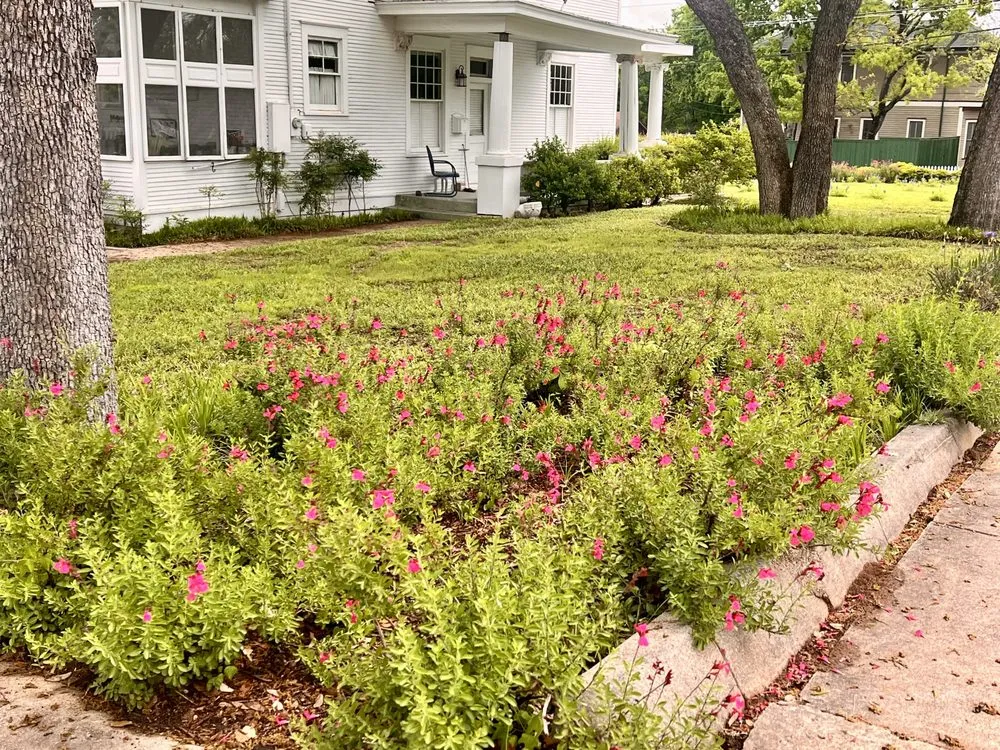 Reliable yard cleanup service in Aledo, TX - Lionheart Landscaping