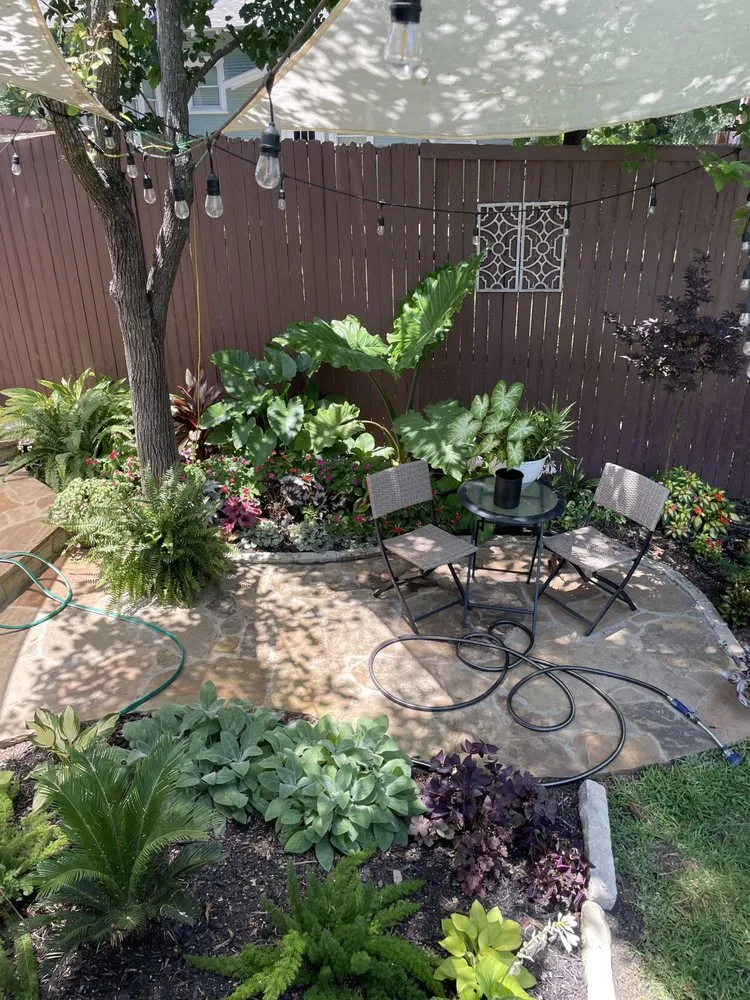 Expert yard maintenance near you in Aledo, TX by Lionheart Landscaping