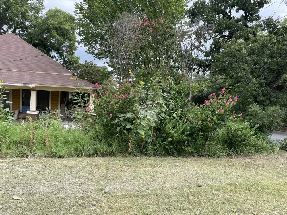 Professional landscape installation experts serving Aledo, TX - Lionheart Landscaping