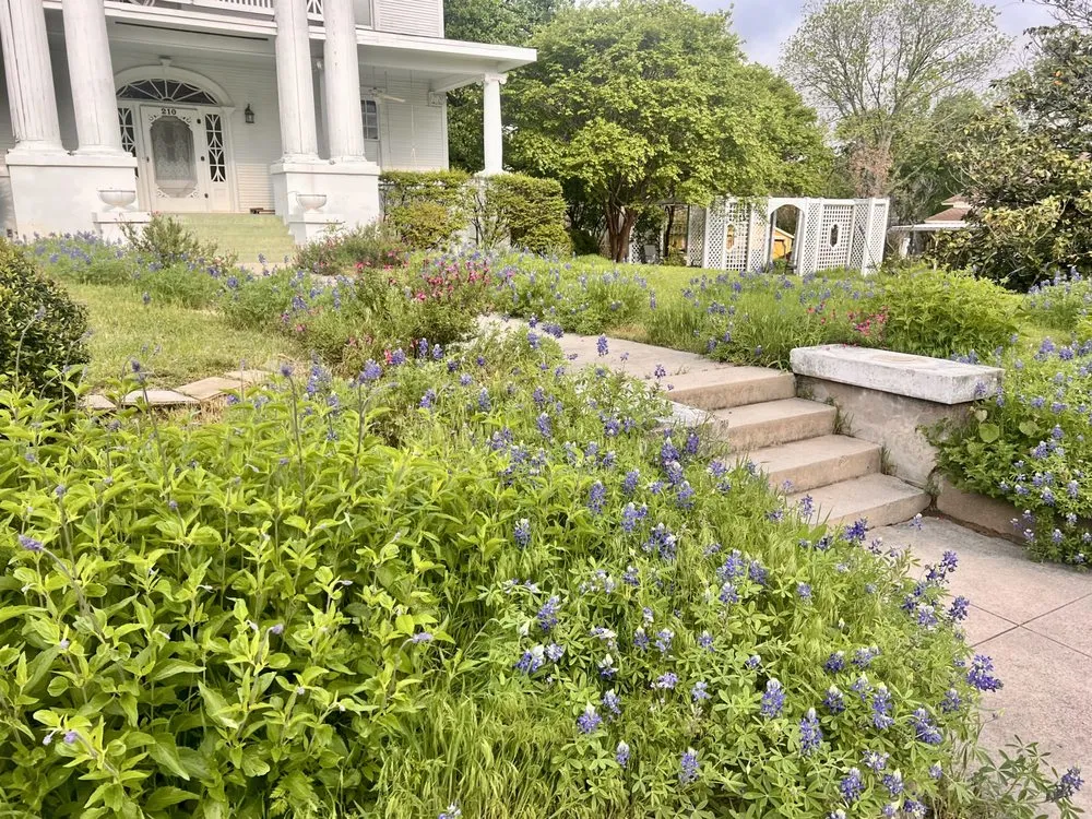 Affordable landscape installation for year-round maintenance in Aledo, TX by Lionheart Landscaping