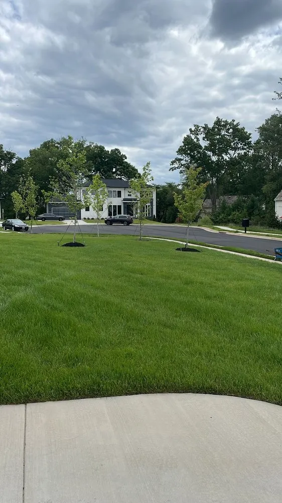 Affordable lawn care service for residential properties in Manassas, VA by Lionheart Landscaping
