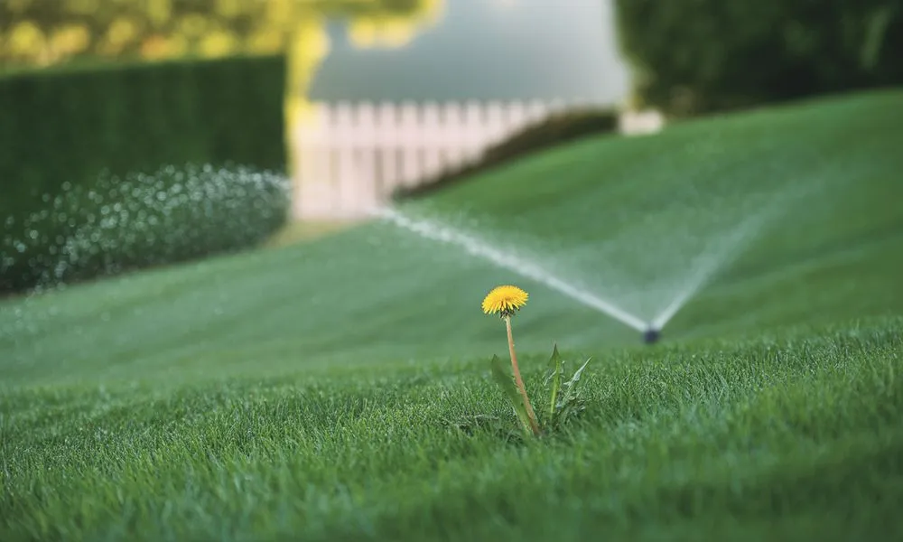 Custom yard maintenance for beautiful yards across Middleburg, FL - Lionheart Lawncare Service