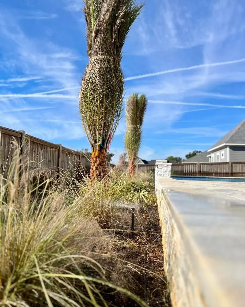 Local yard cleanup service experts serving Mobile, AL - Lions Business Pro