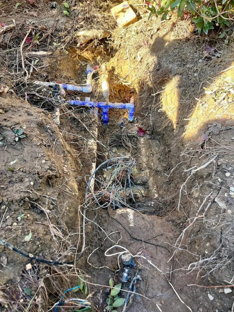 Affordable lawn mowing service in Mobile, AL by Lions Business Pro