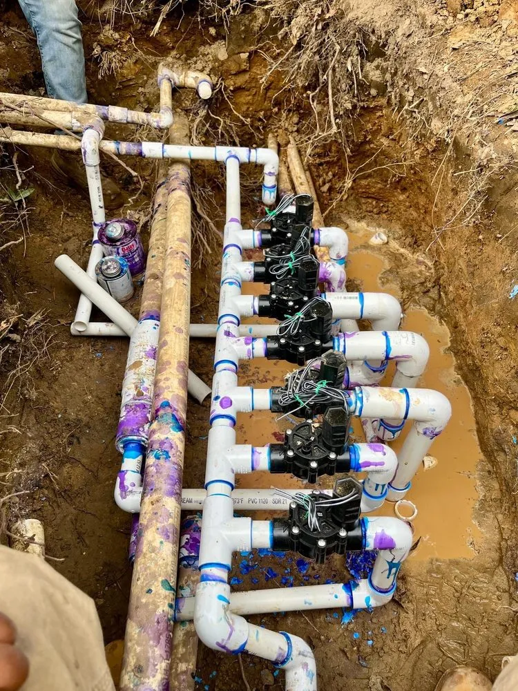 Professional lawn mowing service in Mobile, AL by Lions Business Pro