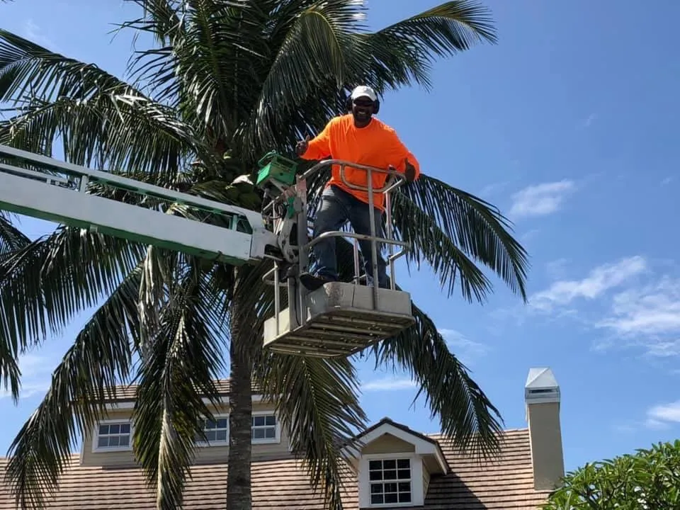 Affordable landscape installation with custom design across Vero Beach, FL - Lion's Help Land and Tree Service