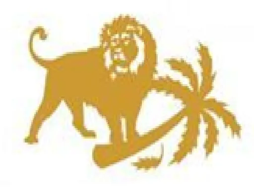 Local lawn mowing service for residential properties across Vero Beach, FL - Lion's Help Land and Tree Service