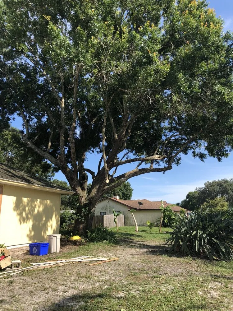 Top-rated outdoor landscaping experts serving Vero Beach, FL - Lion's Help Land and Tree Service