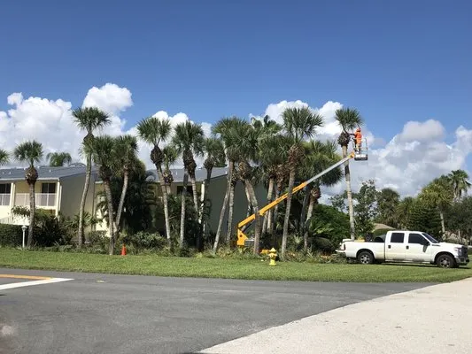 Lion's Help Land and Tree Service