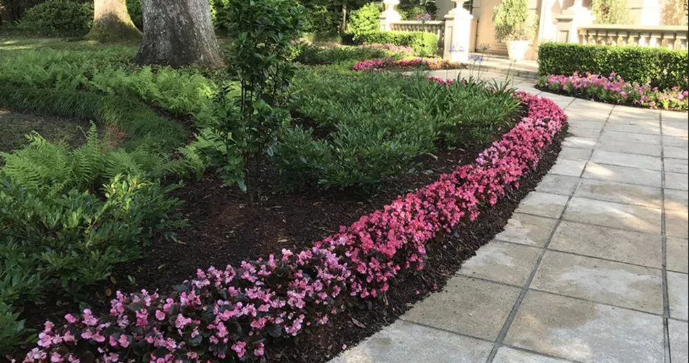 Affordable landscaping services experts serving Baton Rouge, LA - Lions Landscaping